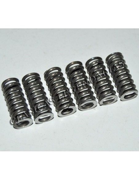 Muelles embrague cota 348 Ref 2163027