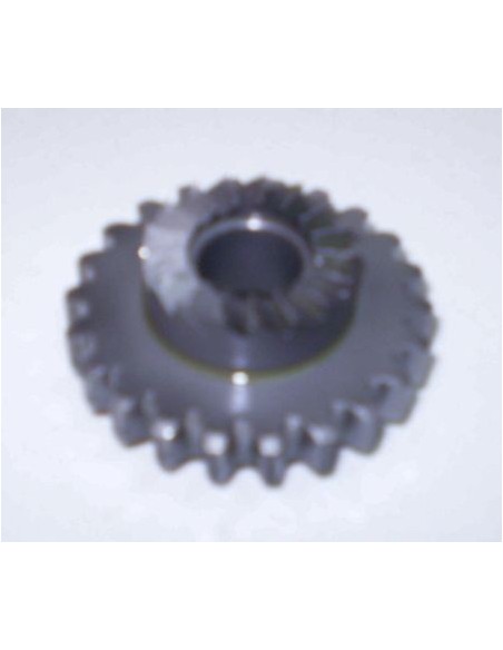 Pinón puesta en marcha 22 D cota 247 Ref 2165001