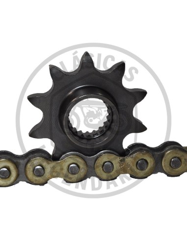 Piñon salida transmisión Montesa Cota 4RT 10T ref.23801-NN4-000
