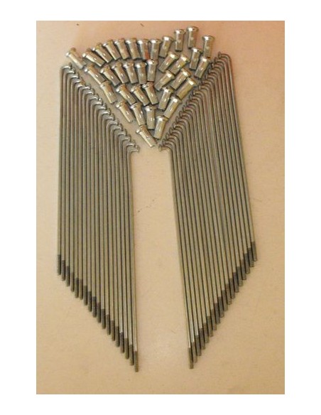 Radios Rueda trasera Cota 74 y Enduro 74-125L Ref.2850117