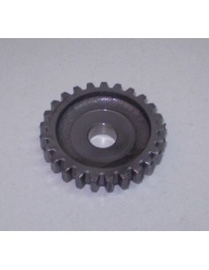 Pinón intermedio arranque cota 74 Ref 2865140
