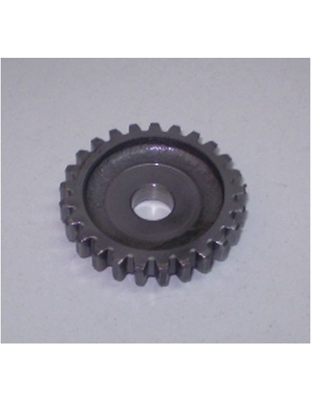 Pinón intermedio arranque cota 74 Ref 2865140
