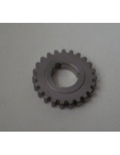 Piñón fijo cuarta impala sport Ref 364055