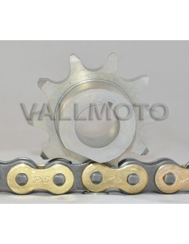 Pinón salida 10D cota 247 segunda serie y 348-349-335 Ref 3663046000Z10