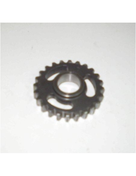 Piñón libre 4ª eje secundario 24D cota 242-304-307 Ref 3964048