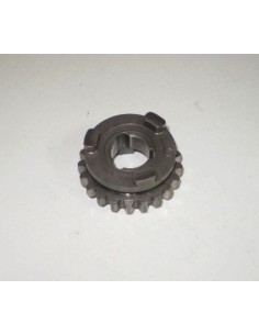 Piñón fijo 5ª eje secundario 21D cota 304-307 Ref 396416602