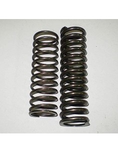 Muelles suspension trasera brio Ref 4001