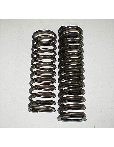 Muelles suspension trasera brio Ref 4001