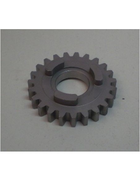Pinón primera eje secundario de 23 D cota 348 Ref 516405101