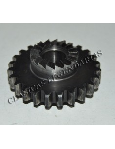 Pinón puesta en marcha 24 D cota 348 Ref 5165001