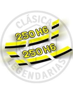 Anagramas tapa lateral Enduro 250 H6 ref.5420486