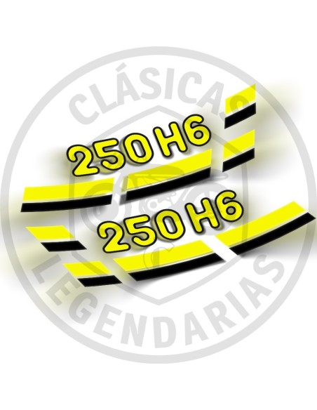 Anagramas tapa lateral Enduro 250 H6 ref.5420486