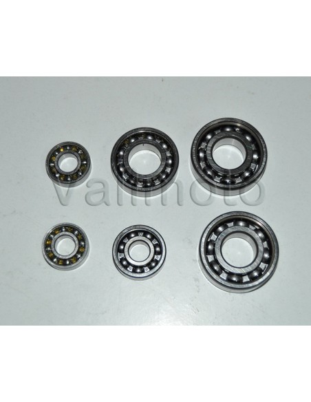 Kit rodamientos motor Brio Ref.6204K