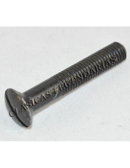 Tornillo tapa motor  Enduro y Cappra largo ref.666011201