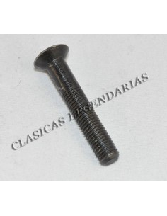 Tornillo tapa motor  Enduro y Cappra largo ref.666011201 2
