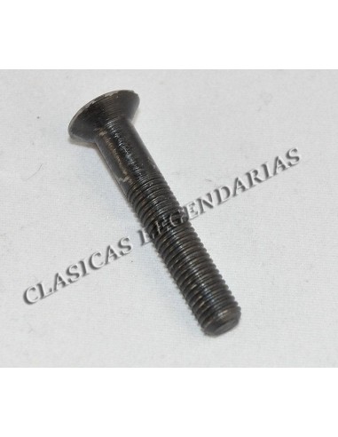 Tornillo tapa motor  Enduro y Cappra largo ref.666011201