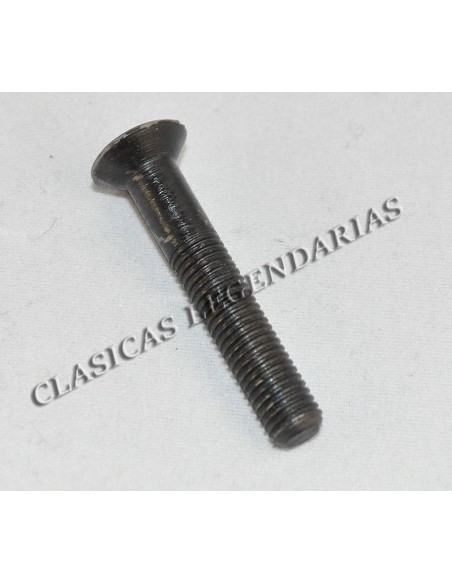 Tornillo tapa motor  Enduro y Cappra largo ref.666011201