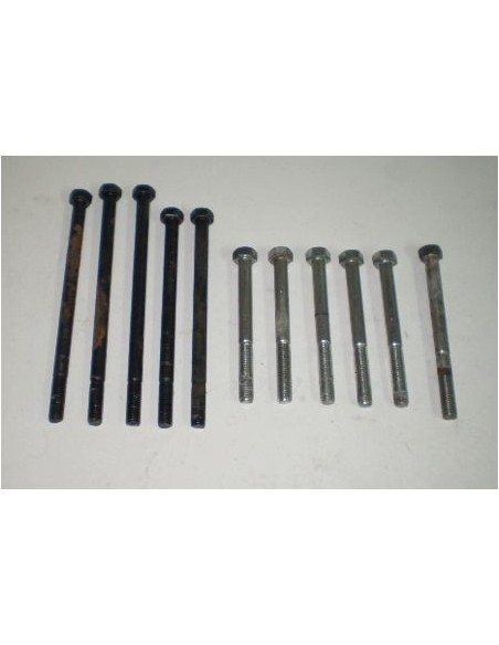Tornillos carter central cota 348 juego Ref 9007120