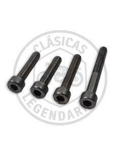 Tornillos tapa Volante magnetico Cota 307-335-330-304 ref.009100105040331 2