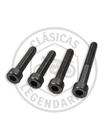 Cargols tapa Volant magnètic Cota 307-335-330-304 ref.009100105040331
