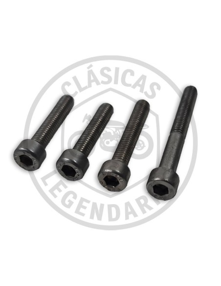 Tornillos tapa Volante magnetico Cota 307-335-330-304 ref.009100105040331