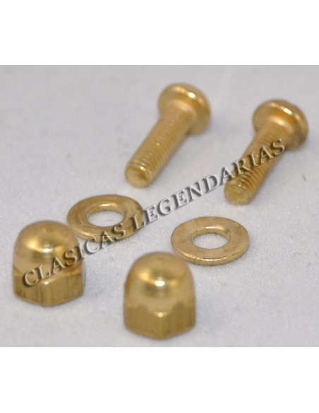 Kit tornillos anagrama guardabarros trasero Impala y Brio Ref.9113