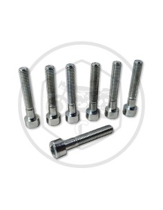 Clutch cover screws Bultaco Tralla ref.BU163003