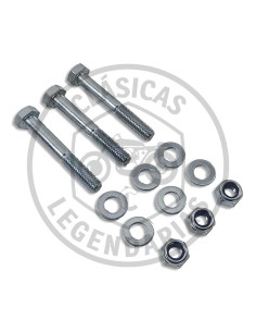 Kit tornillos sujecion deposito Brio Ref.D9014