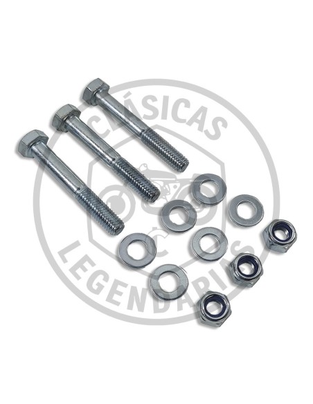 Kit tornillos sujecion deposito Brio Ref.D9014