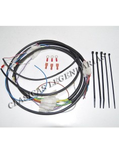 Instalacion Electrica Enduro 250 - 360 H6 Ref.547003402