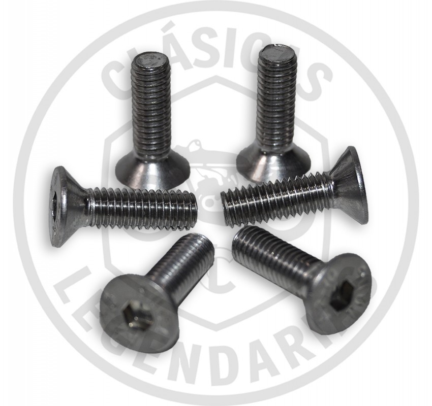 Front brake disc screws Cota 335-307 in stainless steel
