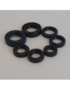 Kit retenes motor Montesa Impala Dos 2