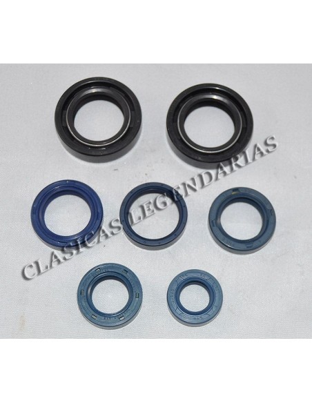 Kit retenes motor Enduro 250 H6 Ref.099254006