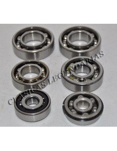 Kit rodamientos motor Enduro-Cappra-Crono Ref.099620505