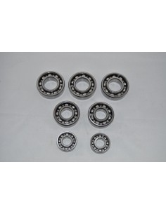 Kit rodamientos motor Enduro 250 H6 Ref.099620506