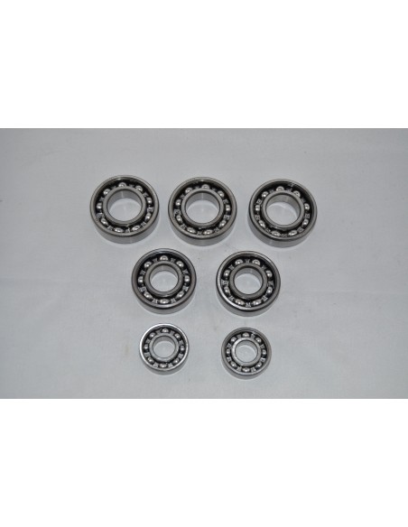 Kit rodamientos motor Enduro 250 H6 Ref.099620506