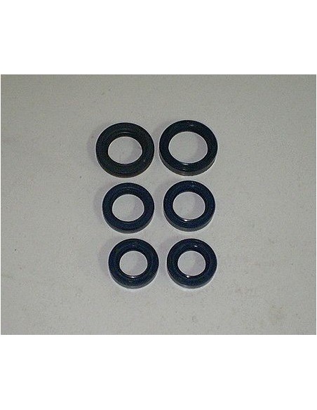 Kit retenes motor Brio Ref.1205