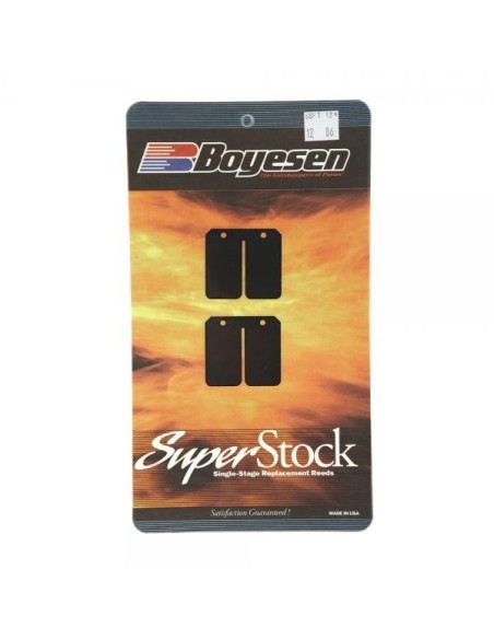 Laminas admision carbono Montesa Cota 315 ref.14111-NN3-003