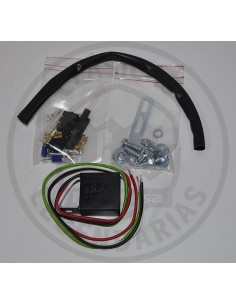 Sustitución platinos volante magnético Ref.15791