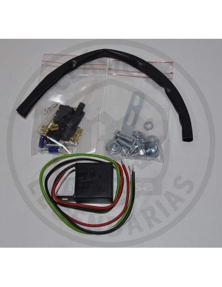 Sustitucion platinos volante magnetico ref.15791