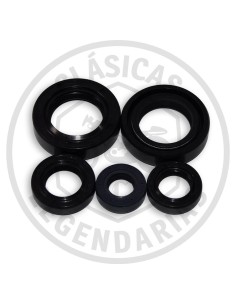 Kit retenes motor Cota 74-123-200-80 ref 162540