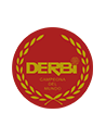 Derbi